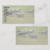 ヒツジ 名刺 (正面/裏面)