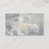 ヒツジ 名刺 (裏面)