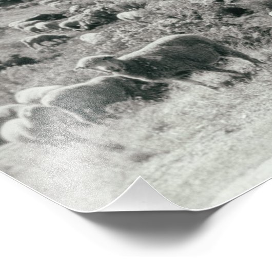 ヒツツモンクロームファームアニマルカワイエルドアンティーク フォトプリント (角)