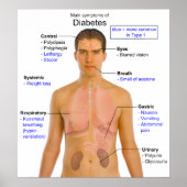 ヒトにおける糖尿病の主な症状の図 ポスター (正面)