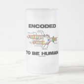 ヒトにコードされる(DNA複製) フロストグラスビールジョッキ (中央)