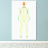 ヒトの神経系及びリンパ系の解剖学 キャンバスプリント (インサイチュ (ウッドフロア))