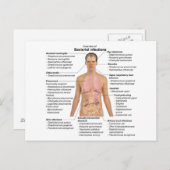 ヒトの細菌感染の図 ポストカード (正面/裏面)