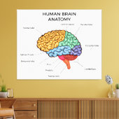 ヒトの脳解剖学 キャンバスプリント (インサイチュ (リビング))