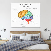 ヒトの脳解剖学 キャンバスプリント (インサイチュ (寝室))