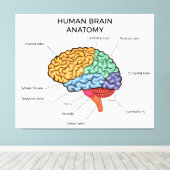 ヒトの脳解剖学 キャンバスプリント (インサイチュ (ウッドフロア))
