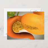 ヒトの膵臓と胃の概念像 ポストカード (正面/裏面)