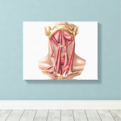 ヒトの舌骨頸筋の解剖学 キャンバスプリント (インサイチュ (ウッドフロア))