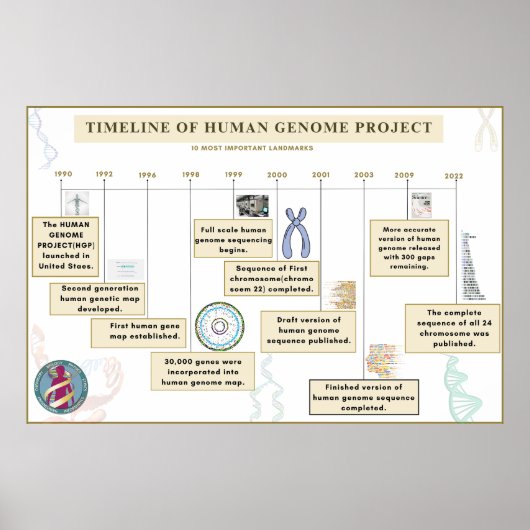 ヒトゲノムプロジェクトのタイムライン ポスター (正面)