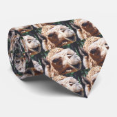 ヒトコブラクダ1のこぶのラクダの顔のクローズアップ ネクタイ (ロール)