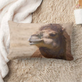 ヒトコブラクダ – 枕 (ブランケット)