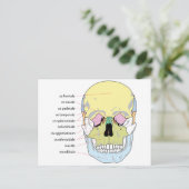 ヒトスカルの前の骨構造の図 ポストカード (スタンド正面)