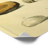 ヒトスカルスパイダー医療解剖学アートプリント ポスター (角)