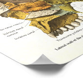 ヒトスカル解剖図24 X 36 ポスター (角)