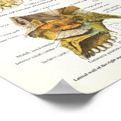 ヒトスカル解剖学ポスター18 X 24 ポスター (角)