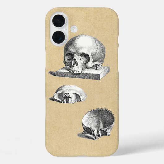 ヒトスカル解剖学断面 Case-Mate iPhoneケース (裏面)