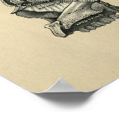 ヒトスカル解剖学1902ヴィンテージプリント ポスター (角)