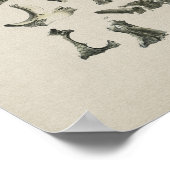 ヒトスカル骨解剖学ヴィンテージプリント ポスター (角)