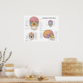 ヒトスカル18 X 24の解剖学 ポスター (キッチン)