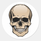 ヒトスカル ラウンドシール (正面)