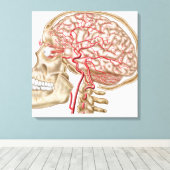 ヒトスカル、眼球および動脈の解剖学 キャンバスプリント (インサイチュ (ウッドフロア))