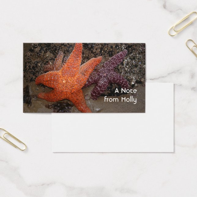 ヒトデか海星、大砲のビーチまたは、写真1 (オフィス)