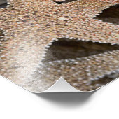 ヒトデすべてのまわりにの フォトプリント            (角)