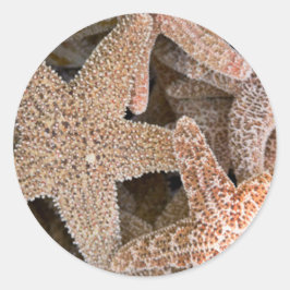 ヒトデすべてのまわりにの ラウンドシール