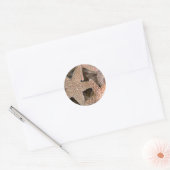 ヒトデすべてのまわりにの ラウンドシール (封筒)