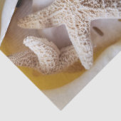 ヒトデとサンドダラークリーミー白い沿岸 薄葉紙 (詳細)