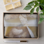 ヒトデとサンドダラークリーミー白い沿岸 薄葉紙 (ギフト)