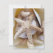 ヒトデとサンド・ダラーと貝殻の写真集 ノートカード (正面)