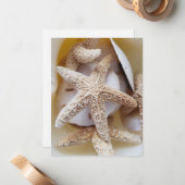 ヒトデとサンド・ダラーと貝殻の写真集 ノートカード (正面/裏面インサイチュ)