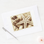 ヒトデとシーシェルのシール 長方形シール