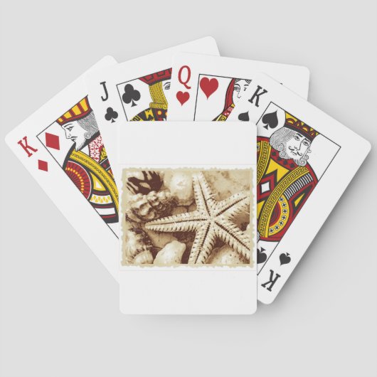 ヒトデとシーシェルズトランプ トランプ (裏面)