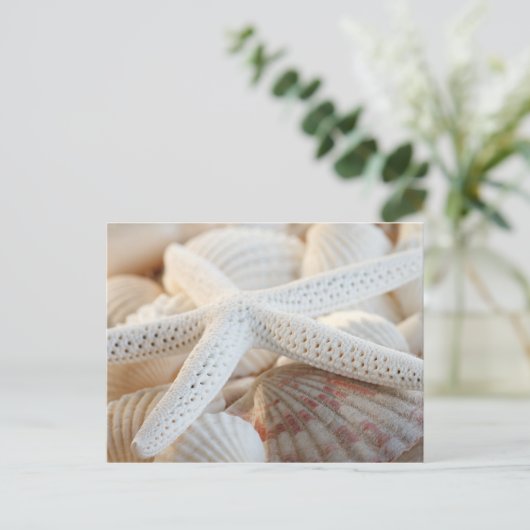 ヒトデと貝殻のポストカード ポストカード (スタンド正面)