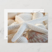 ヒトデと貝殻のポストカード ポストカード