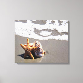 ヒトデと貝 キャンバスプリント