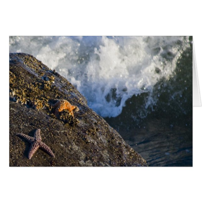 ヒトデのしぶきカード (正面横)