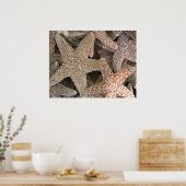 ヒトデのまわりにラ ポスター (キッチン)