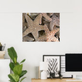 ヒトデのまわりにラ ポスター (ホームオフィス)