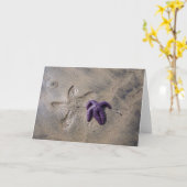 ヒトデのトラック カード (黄色い花)