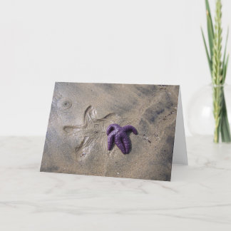 ヒトデのトラック カード