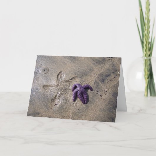 ヒトデのトラック カード (正面)