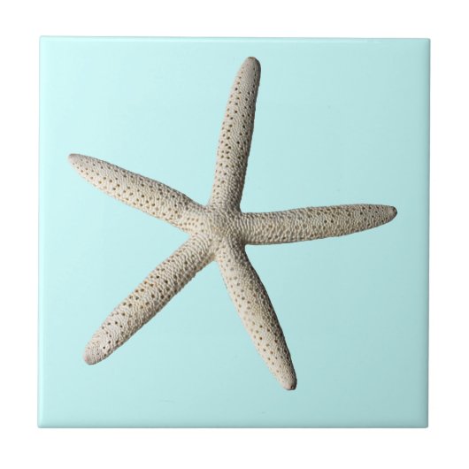 ヒトデのビーチの写真の芸術 タイル (正面)
