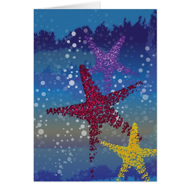 ヒトデの海の星 (正面)