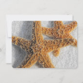 ヒトデの砂浜, ビーチ, おめでたい日を記念して 招待状 (裏面)