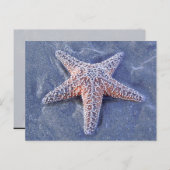 ヒトデはがき ポストカード (正面/裏面)