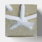 ヒトデビーチ結婚式 フェイバーボックス (上部)