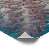 ヒトデ写真ポスター ポスター (角)